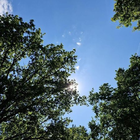 Stacaravan Verhuur Drenthe Hotel Eext Bagian luar foto